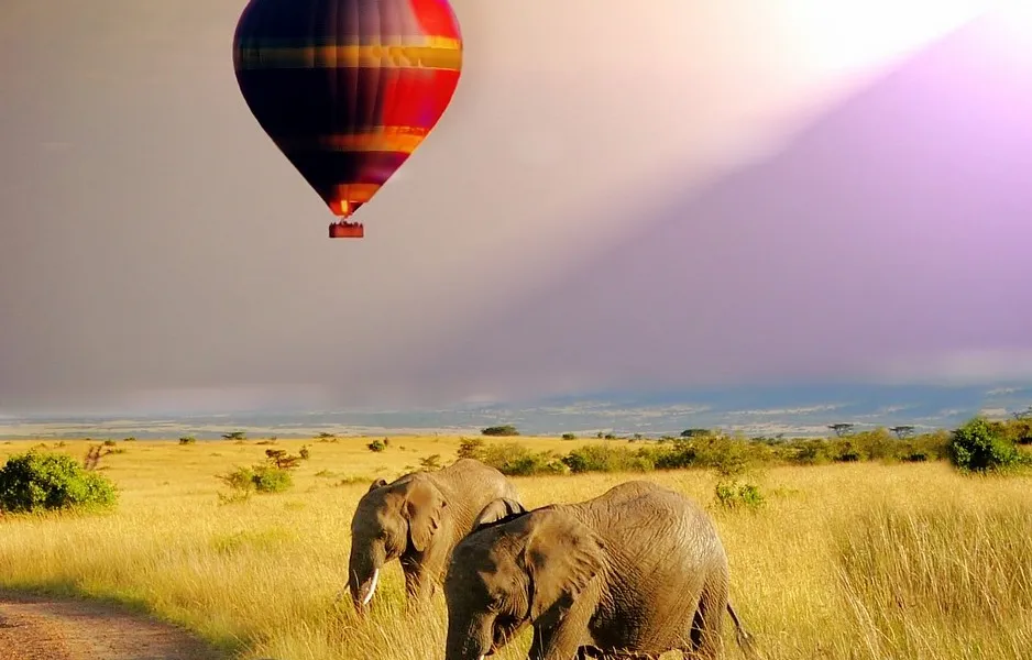 Tanzania honeymoon safari and beach travel view
